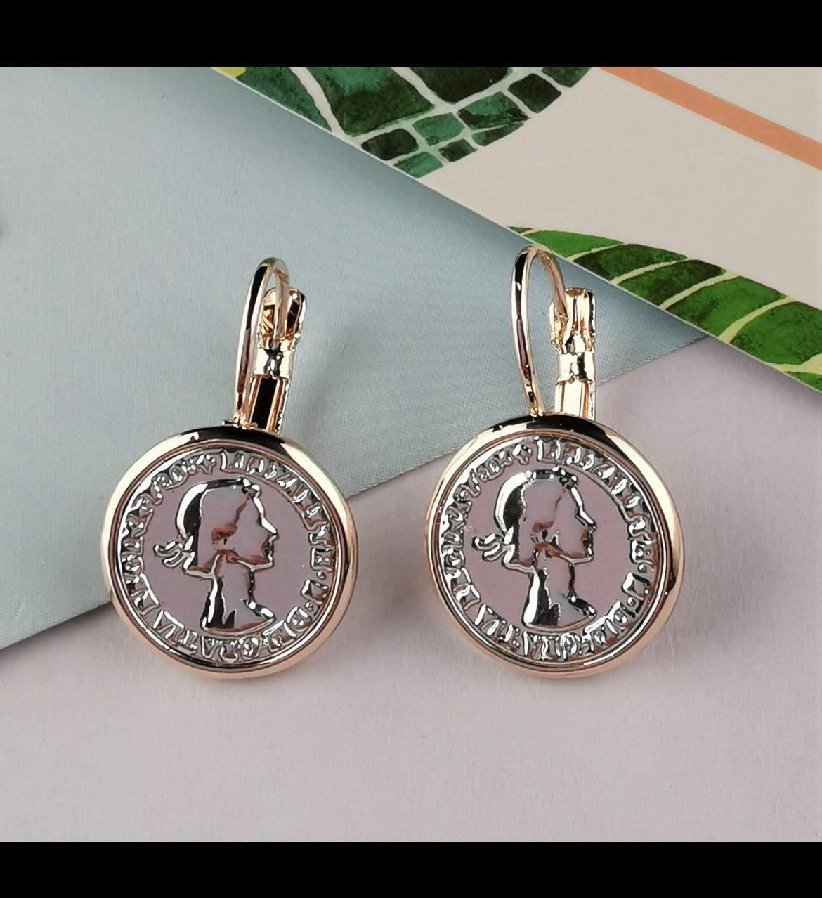 LE5055 SILVER EARRINGS