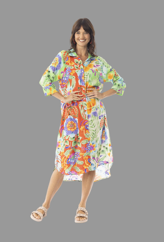 10043 Sofia Dress Collard